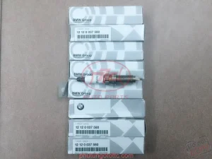 Bugi BMW X6 5.0 2009