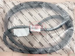 Gioăng khung cửa trước Raize 2021