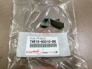 Nút tay nắm phía trong xe Land FZJ80